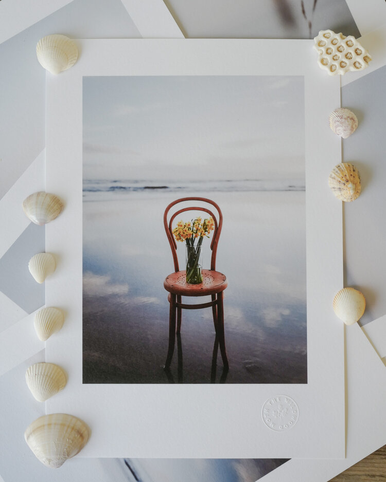 Spring flowers on the beach by The Wildwood Moth - Sustainable gift guide by Curly Carrot