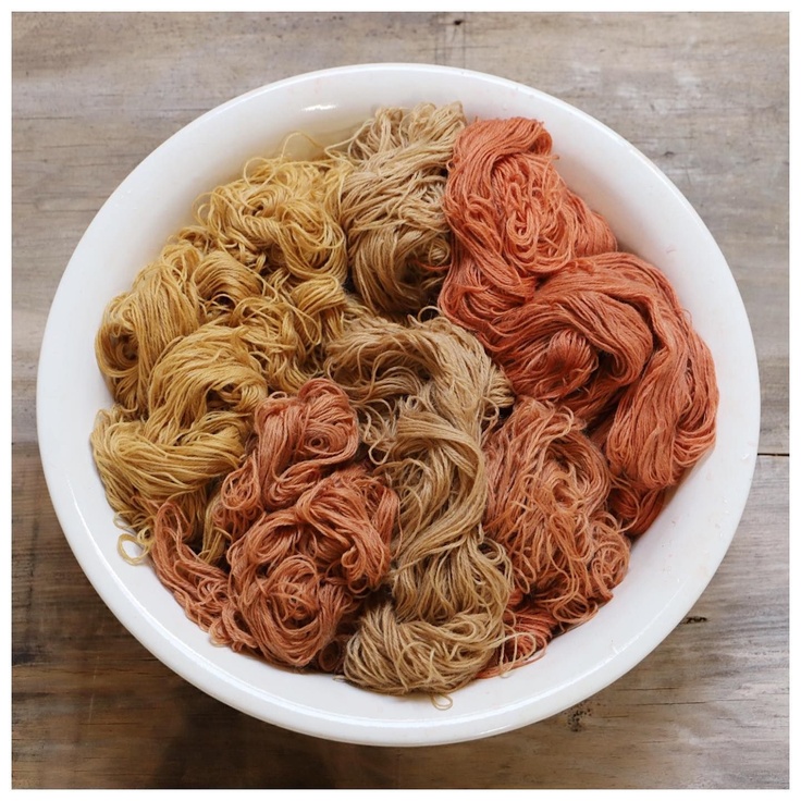 New online natural dye course by Kathryn Davey | Creative Chat CURLY CARROT Digital Marketing